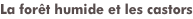 shapeimage_23_link_5