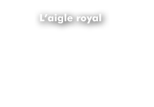          L’aigle royal